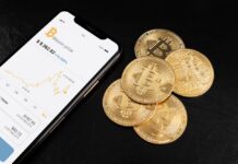 White Label Crypto Exchange vs Building From Scratch: Guide for Fintech Companies